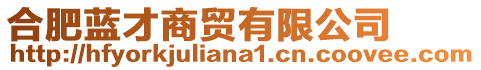 合肥藍(lán)才商貿(mào)有限公司