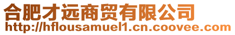 合肥才遠商貿有限公司