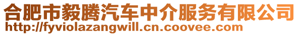 合肥市毅騰汽車(chē)中介服務(wù)有限公司