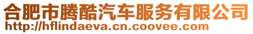 合肥市騰酷汽車服務有限公司