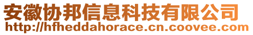 安徽協(xié)邦信息科技有限公司