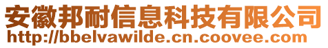 安徽邦耐信息科技有限公司