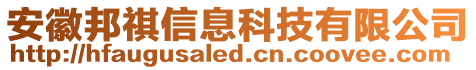 安徽邦祺信息科技有限公司