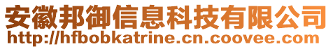 安徽邦御信息科技有限公司