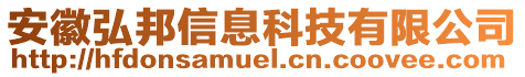 安徽弘邦信息科技有限公司