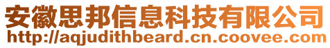 安徽思邦信息科技有限公司