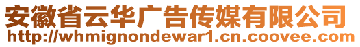 安徽省云華廣告?zhèn)髅接邢薰? style=