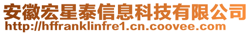 安徽宏星泰信息科技有限公司