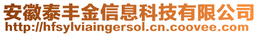 安徽泰豐金信息科技有限公司