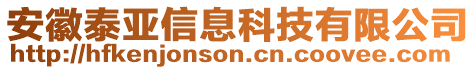 安徽泰亞信息科技有限公司