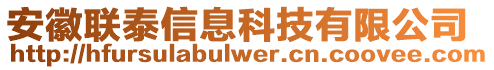 安徽聯(lián)泰信息科技有限公司