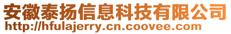 安徽泰揚信息科技有限公司