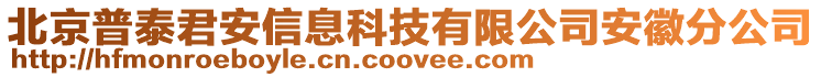 北京普泰君安信息科技有限公司安徽分公司