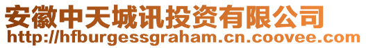 安徽中天城訊投資有限公司