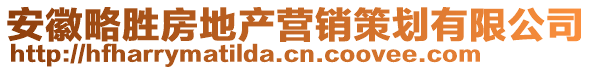 安徽略勝房地產(chǎn)營銷策劃有限公司