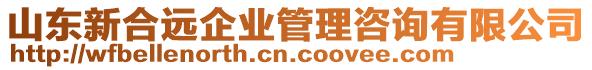 山東新合遠(yuǎn)企業(yè)管理咨詢有限公司