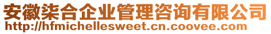 安徽柒合企業(yè)管理咨詢有限公司