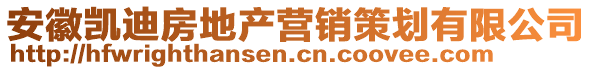安徽凱迪房地產營銷策劃有限公司