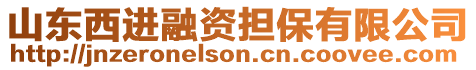 山東西進融資擔保有限公司