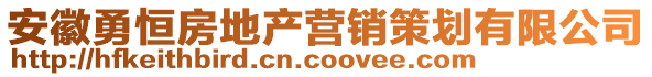 安徽勇恒房地產(chǎn)營(yíng)銷(xiāo)策劃有限公司