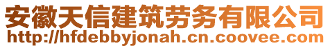安徽天信建筑勞務有限公司