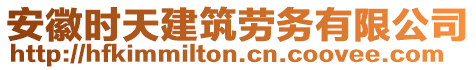 安徽時天建筑勞務有限公司