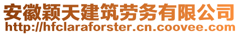 安徽穎天建筑勞務有限公司