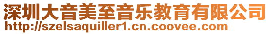 深圳大音美至音樂教育有限公司