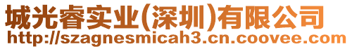 城光睿實業(深圳)有限公司