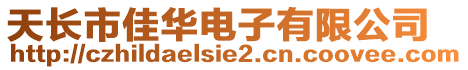 天長市佳華電子有限公司