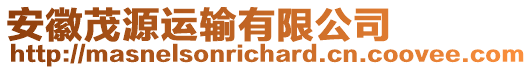 安徽茂源運(yùn)輸有限公司