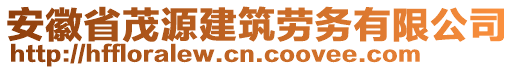 安徽省茂源建筑勞務(wù)有限公司