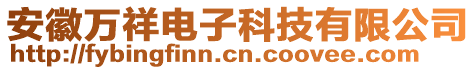 安徽萬祥電子科技有限公司