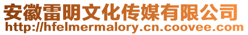 安徽雷明文化傳媒有限公司