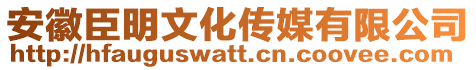 安徽臣明文化傳媒有限公司
