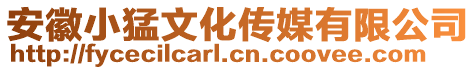 安徽小猛文化傳媒有限公司