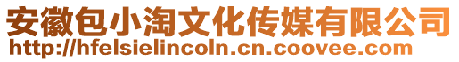 安徽包小淘文化傳媒有限公司