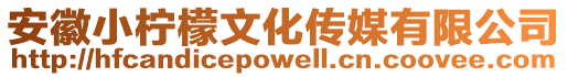 安徽小檸檬文化傳媒有限公司