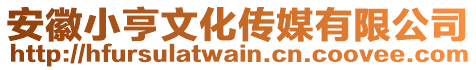 安徽小亨文化傳媒有限公司