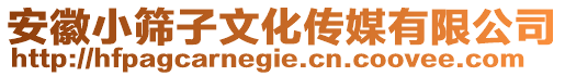 安徽小篩子文化傳媒有限公司