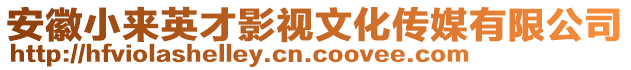 安徽小來英才影視文化傳媒有限公司