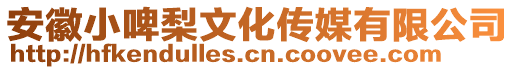 安徽小啤梨文化傳媒有限公司