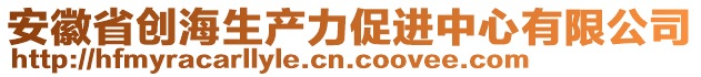 安徽省創(chuàng)海生產(chǎn)力促進(jìn)中心有限公司