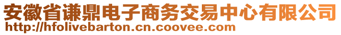 安徽省謙鼎電子商務交易中心有限公司