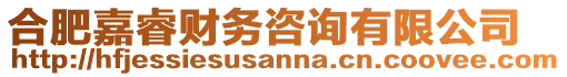合肥嘉睿財務(wù)咨詢有限公司