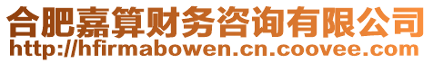 合肥嘉算財務(wù)咨詢有限公司