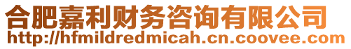 合肥嘉利財務咨詢有限公司