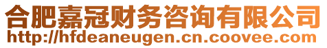 合肥嘉冠財(cái)務(wù)咨詢有限公司