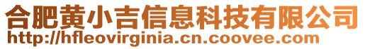 合肥黃小吉信息科技有限公司