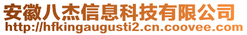 安徽八杰信息科技有限公司